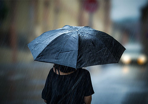 Wabah kecil di industri payung: pendaftaran tahun lalu meningkat sebesar 139%