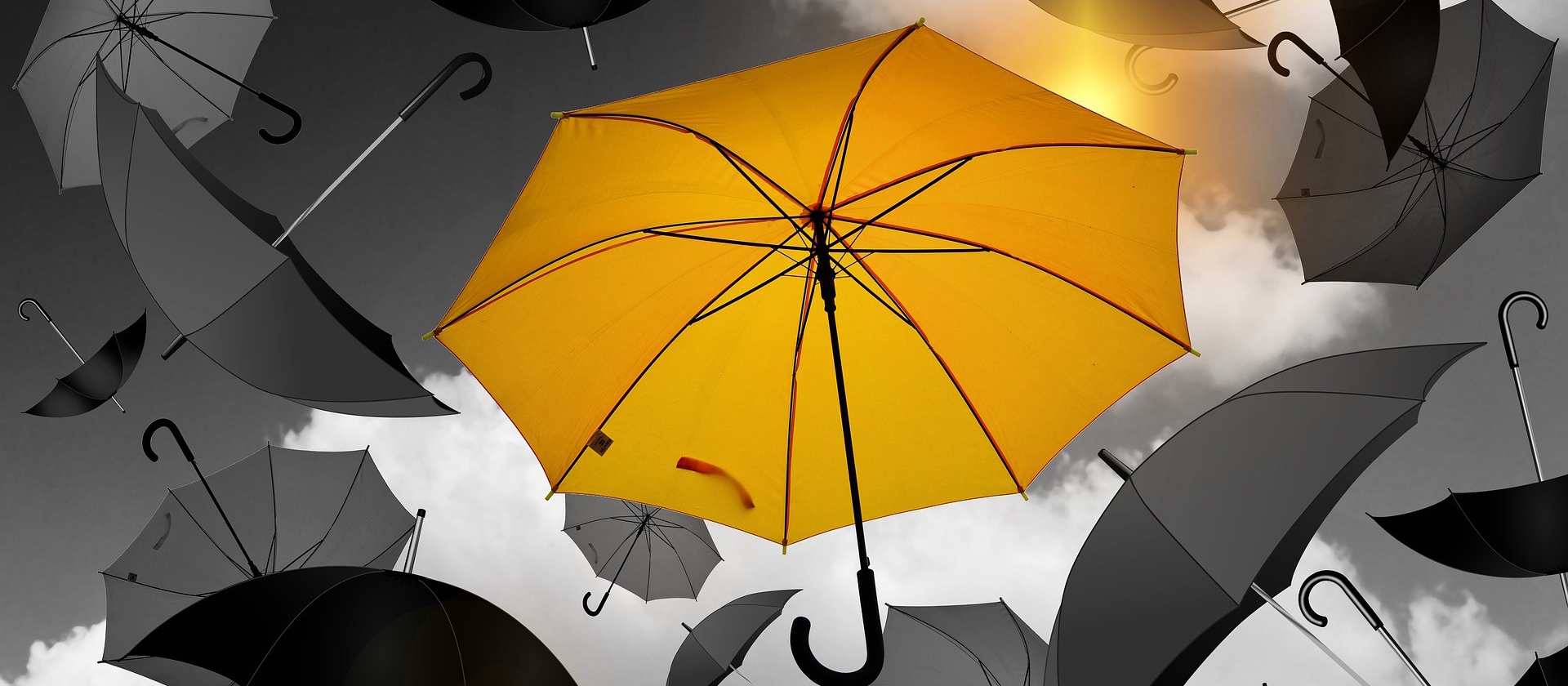 Ada Empat Bahan Utama Untuk Payung Langkah